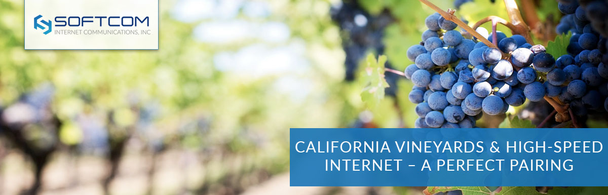 California vineyards and high-speed internet – a perfect pairing